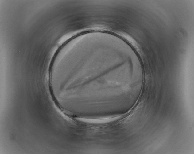 X0000112971335200909241319