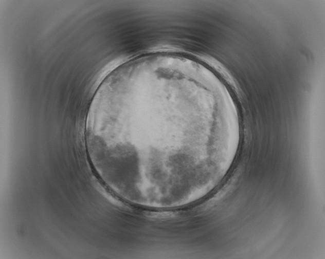 X0000112971337200909241319