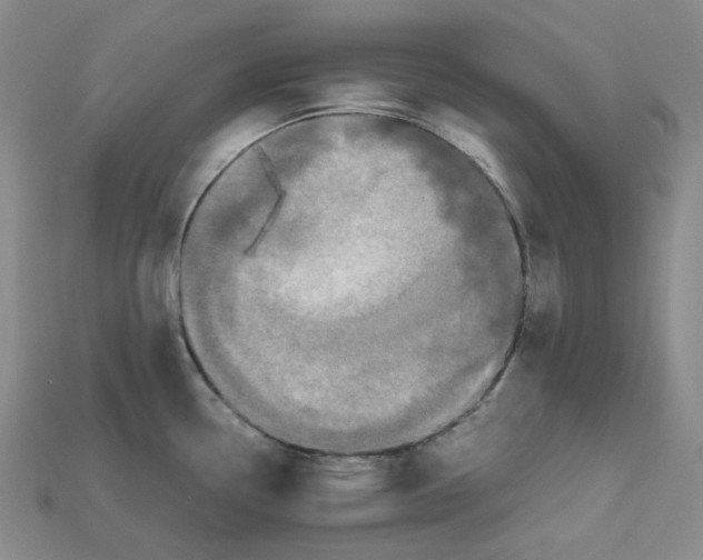 X0000112971338200909241319