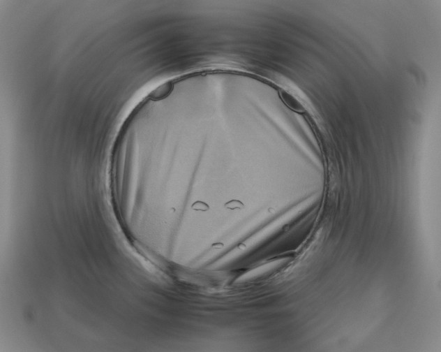 X0000112971339200909241319