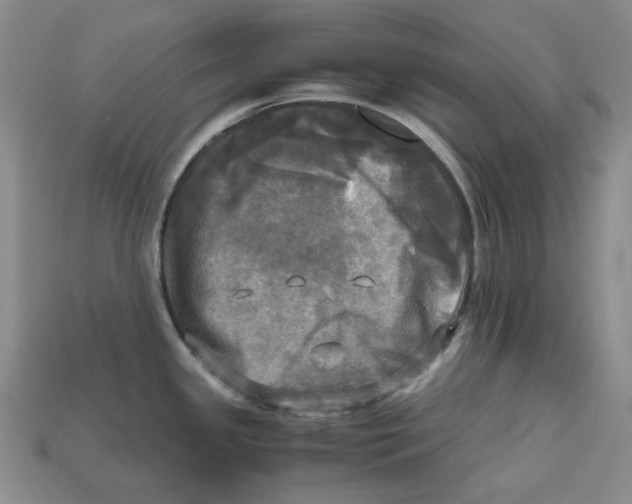 X0000112971341200909241319