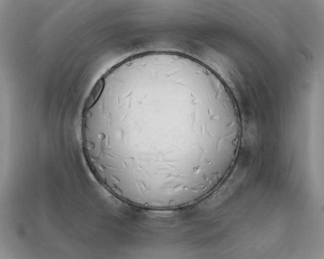 X0000112971342200909241319