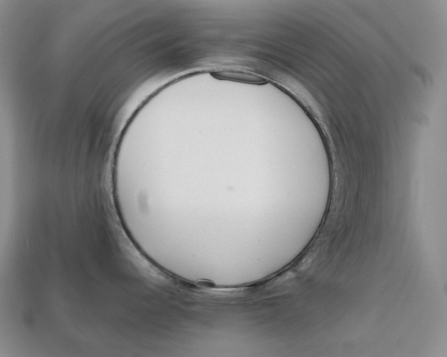 X0000112971344200909241319