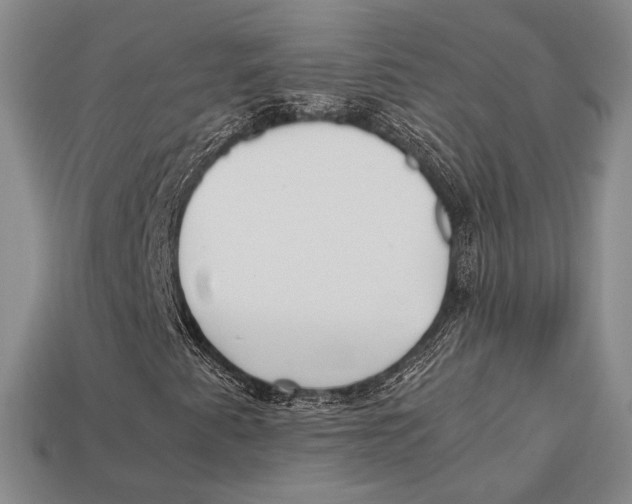 X0000112971345200909241318