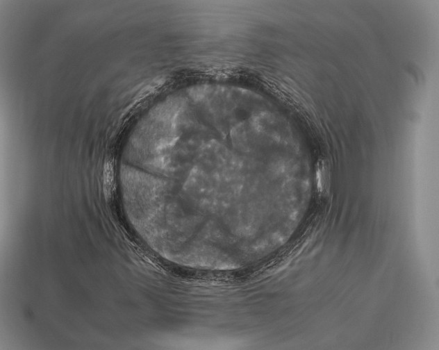 X0000112971347200909241318