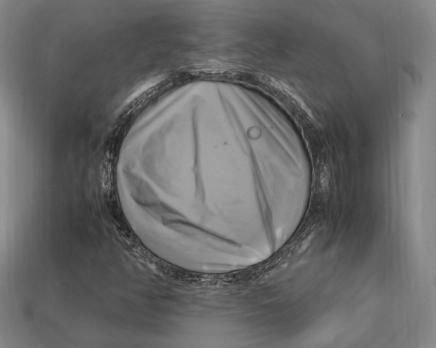 X0000112971350200909241318