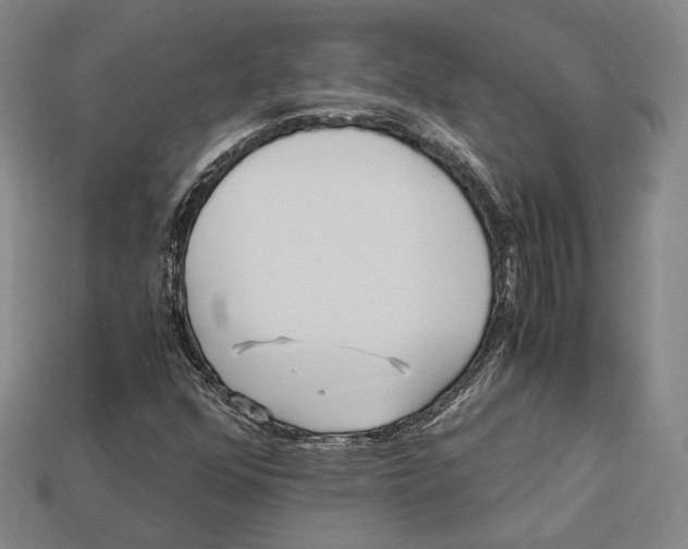 X0000112971352200909241318