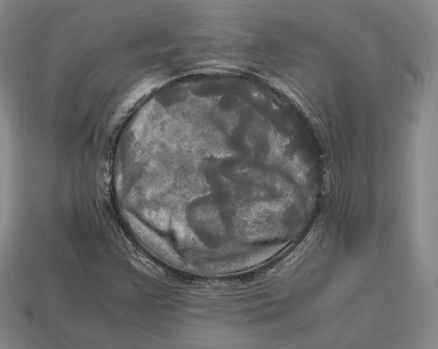 X0000112971355200909241318