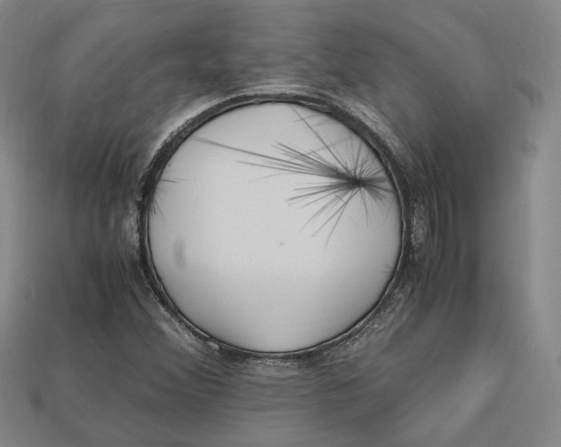X0000112971356200909241318