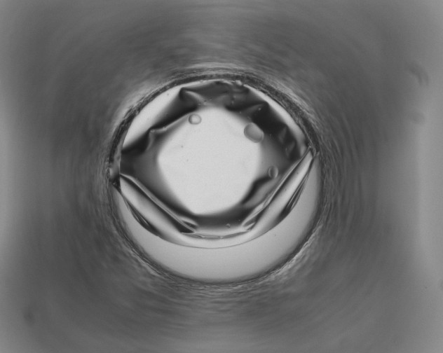 X0000112971357200909241318