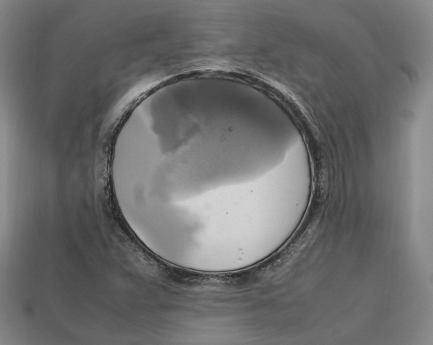 X0000112971359200909241318