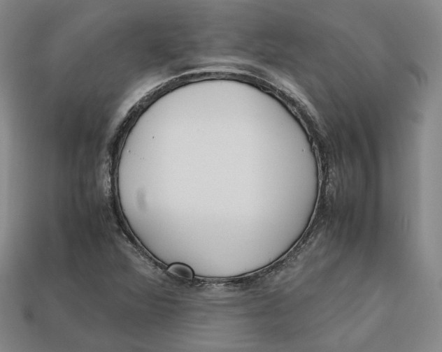 X0000112971360200909241318