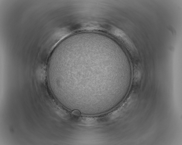X0000112971361200909241318