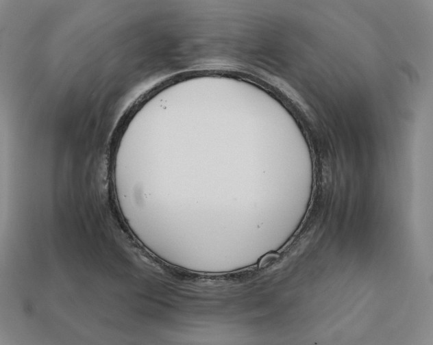 X0000112971364200909241318