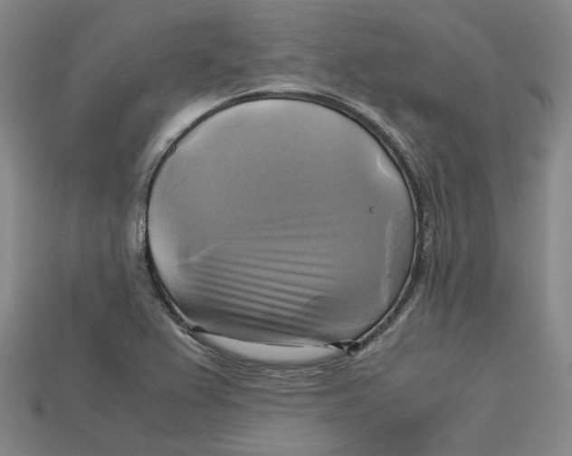 X0000112971367200909241318