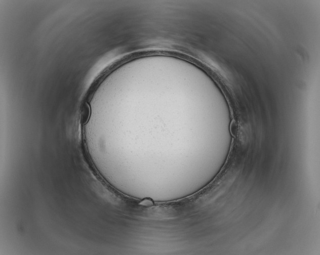 X0000112971368200909241318