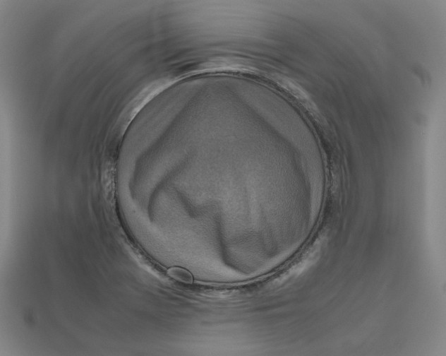 X0000112971369200909241318