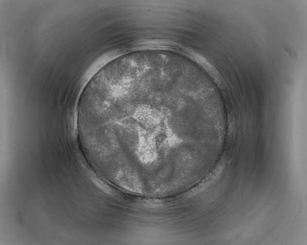 X0000112971370200909241318