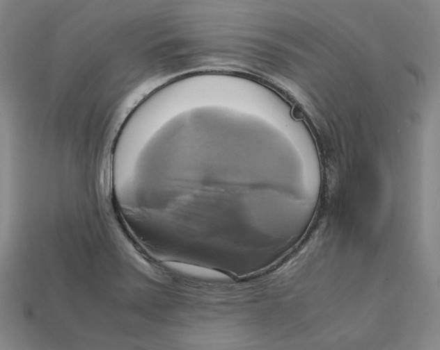 X0000112971371200909241318
