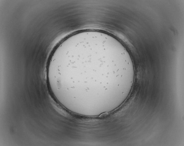X0000112971372200909241318