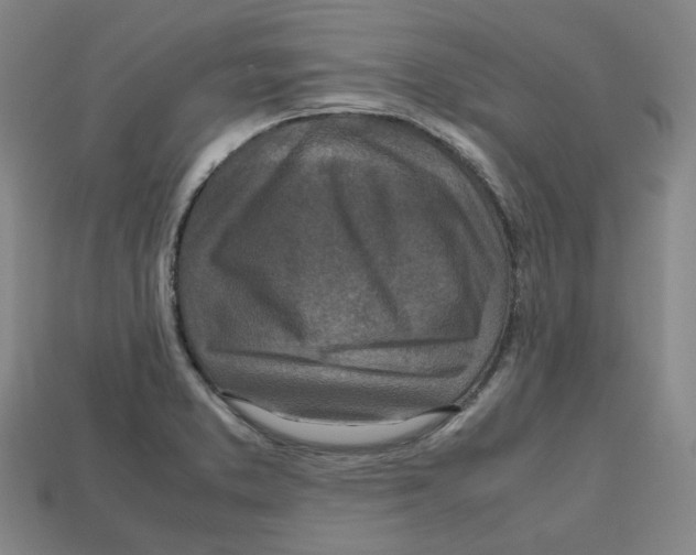 X0000112971373200909241318