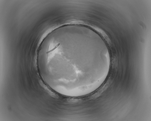 X0000112971374200909241318