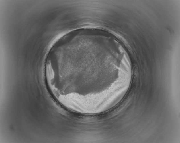 X0000112971375200909241318