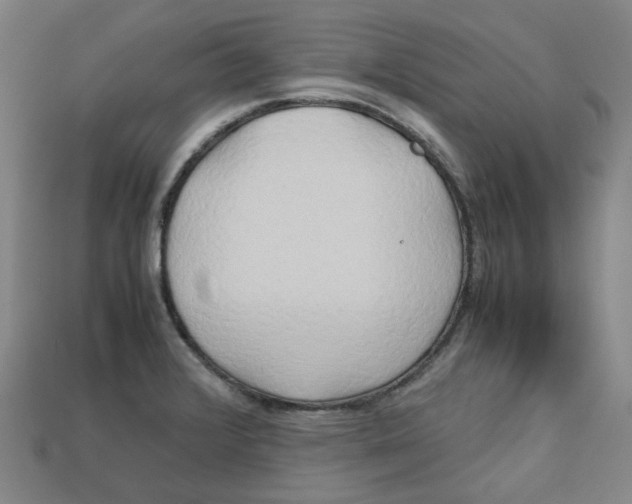X0000112971376200909241318