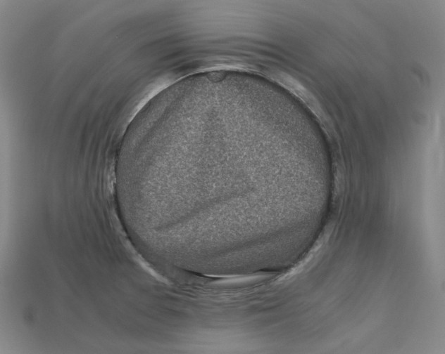 X0000112971377200909241318