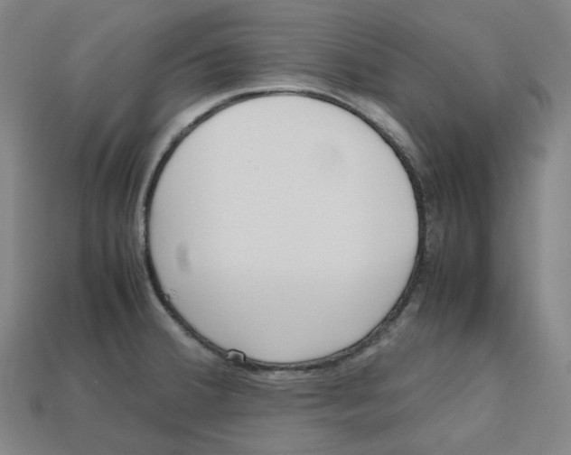 X0000112971380200909241318