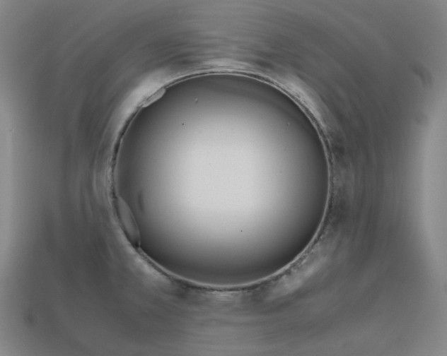 X0000112971381200909241318