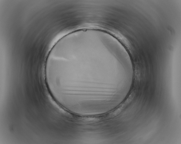 X0000112971382200909241318