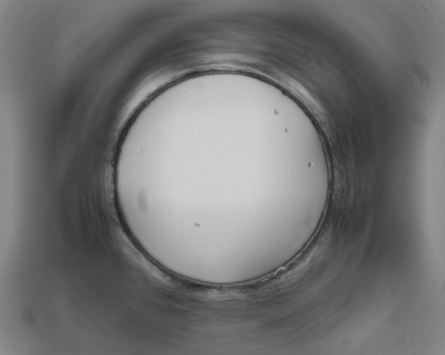 X0000112971384200909241318