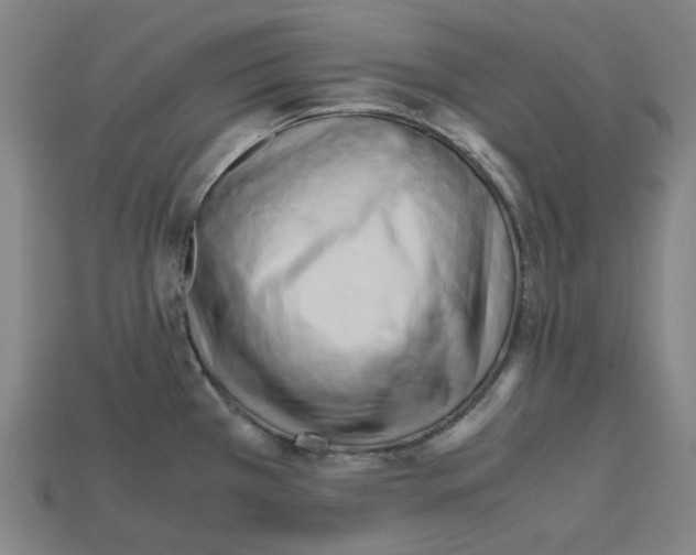 X0000112971385200909241318