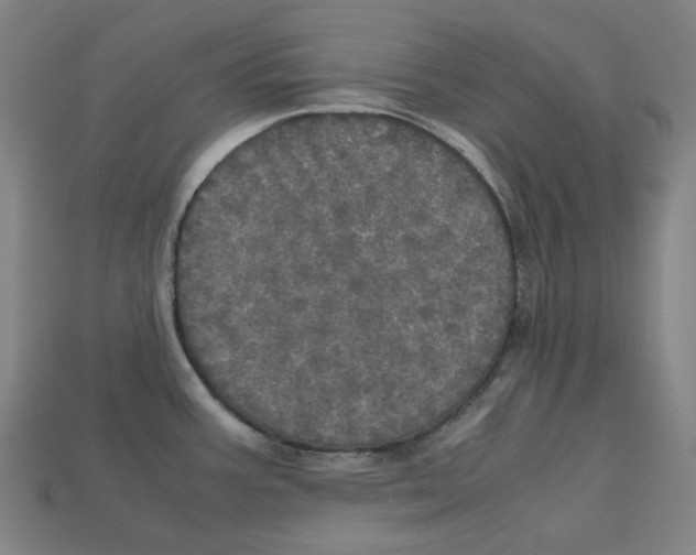 X0000112971387200909241318
