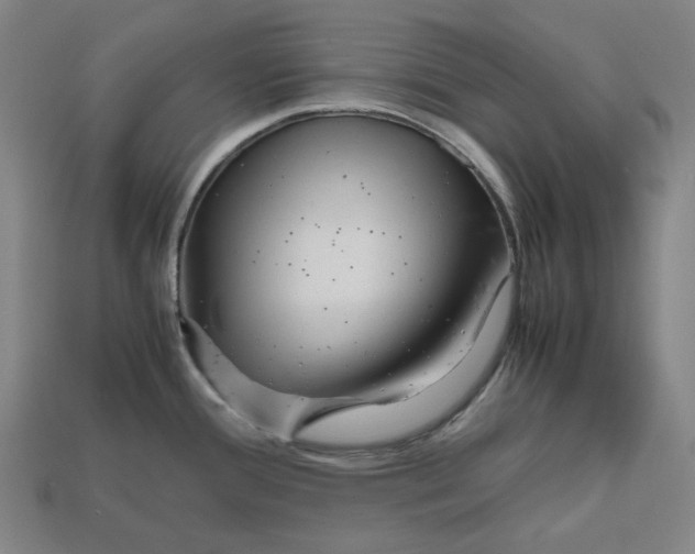 X0000112971388200909241318