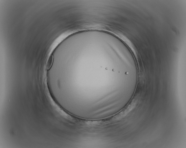 X0000112971389200909241318