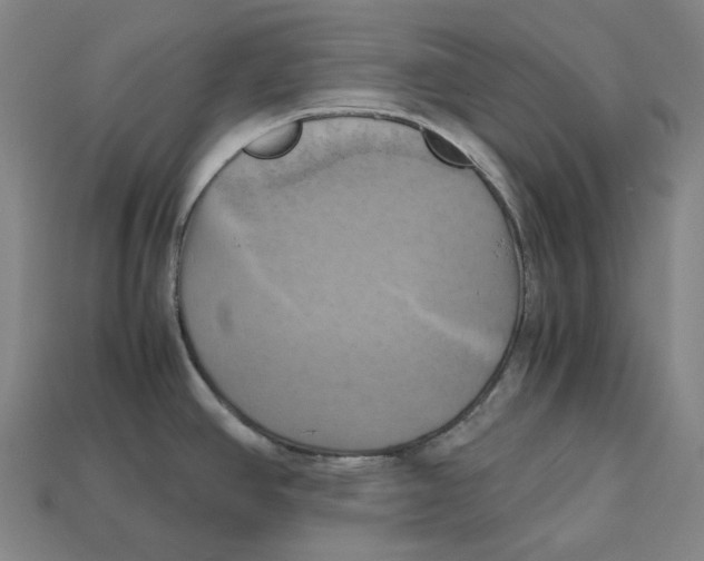 X0000112971390200909241318
