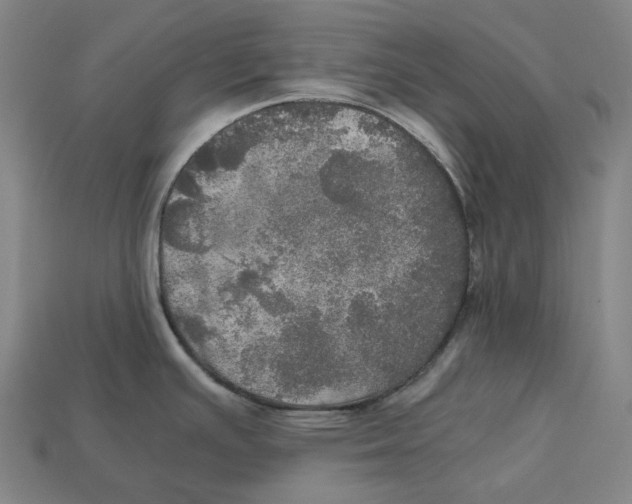 X0000112971391200909241318