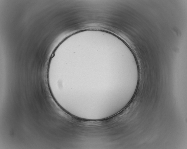 X0000112971392200909241318