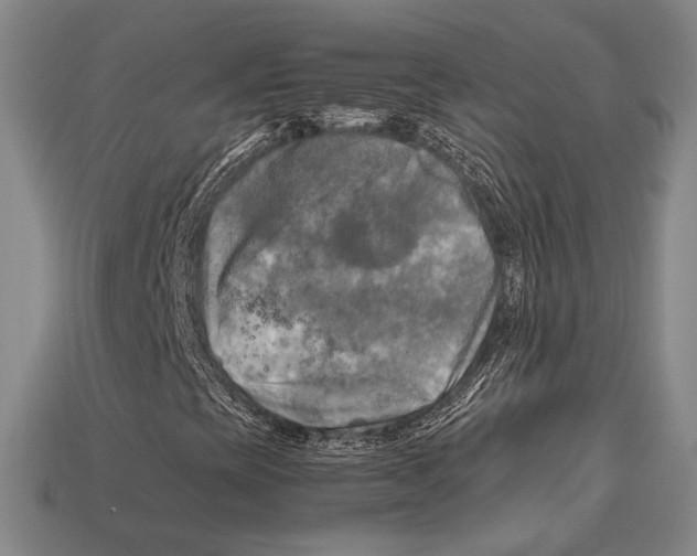 X0000112971393200909241317