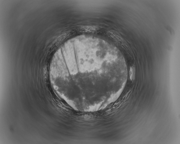 X0000112971395200909241317