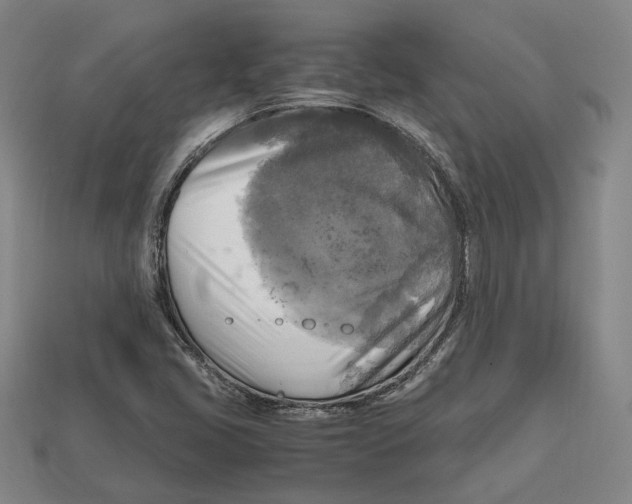 X0000112971405200909241317