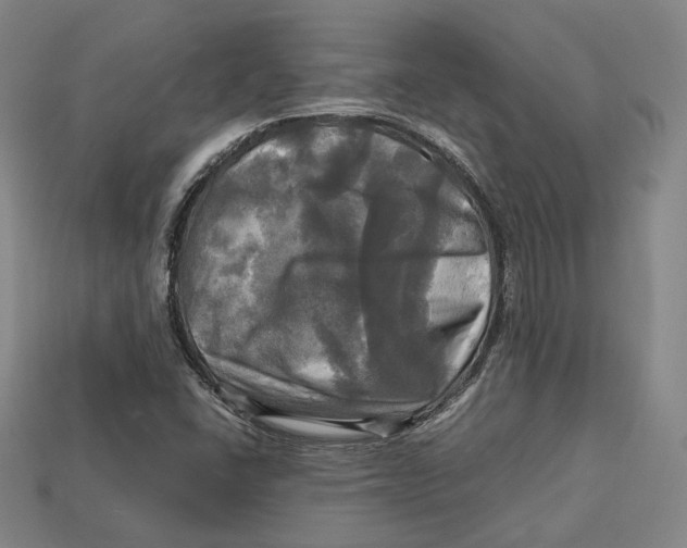 X0000112971406200909241317
