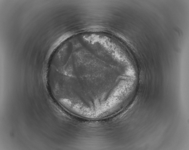 X0000112971410200909241317