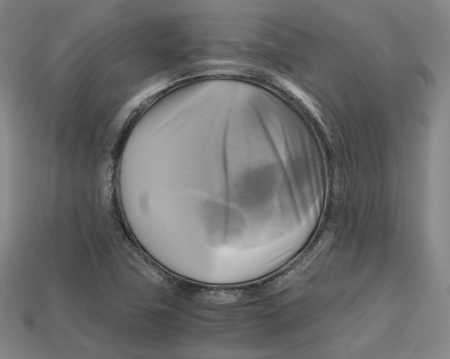 X0000112971411200909241317