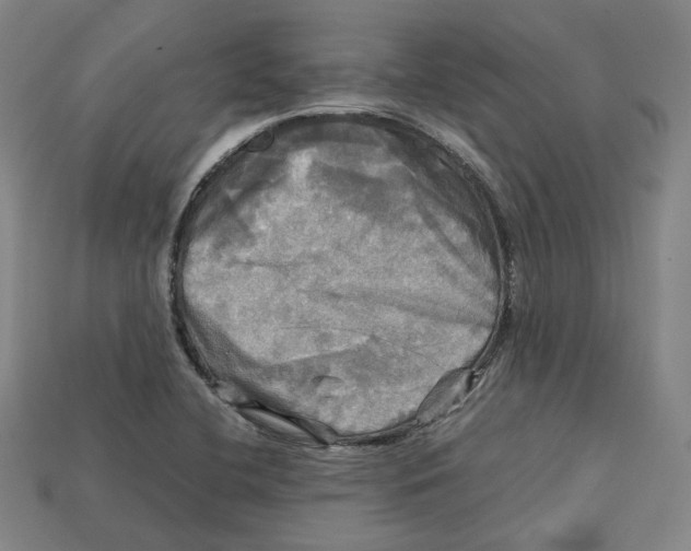X0000112971412200909241317