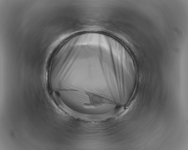 X0000112971414200909241317