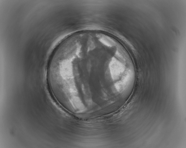 X0000112971416200909241317