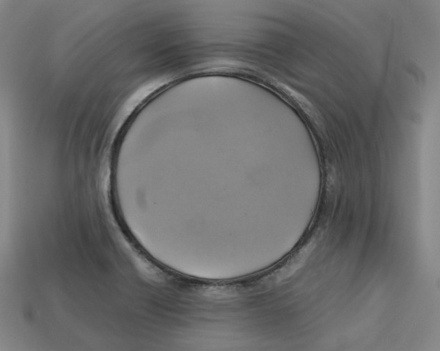 X0000112971418200909241317